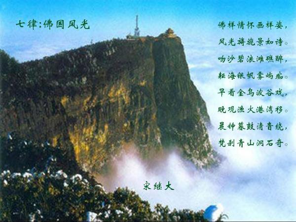 这是我的战争